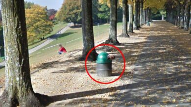 Google Maps