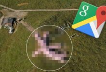 Google maps