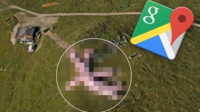 Google maps